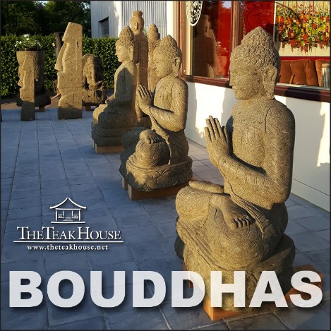 Bouddha & co