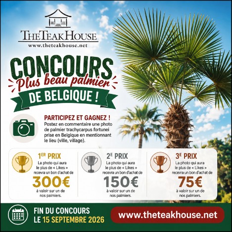 Concours Facebook « Plus beau palmier de Belgique »
